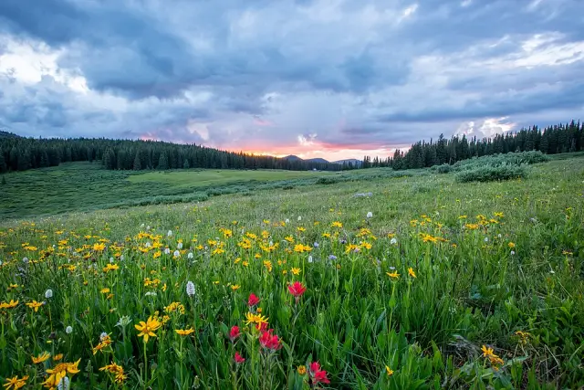 Shrine Pass
