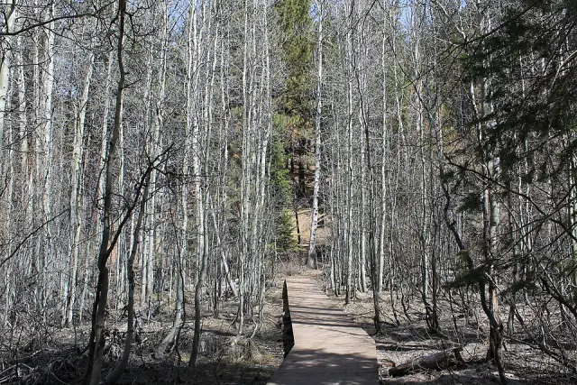 Spooner Summit
