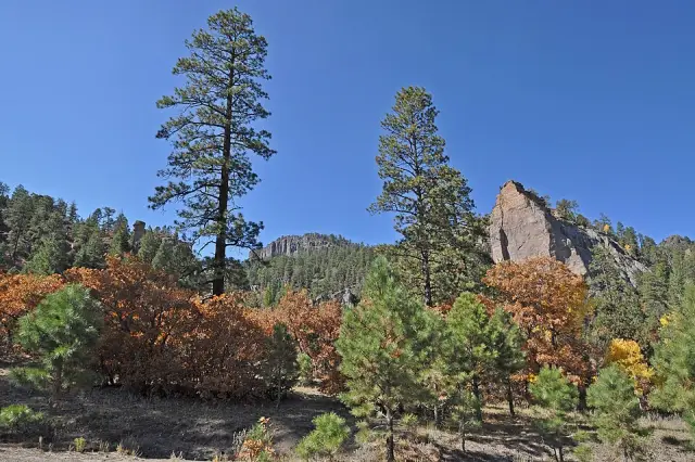 Narbona Pass