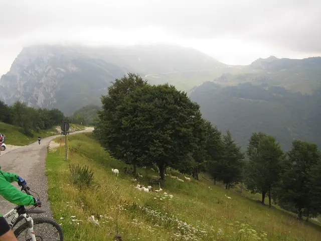 Bocca di Navene