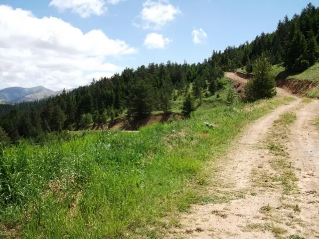 Tersun Dağı Geçidi