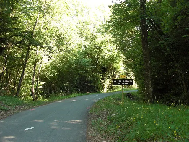 Col du Sapenay