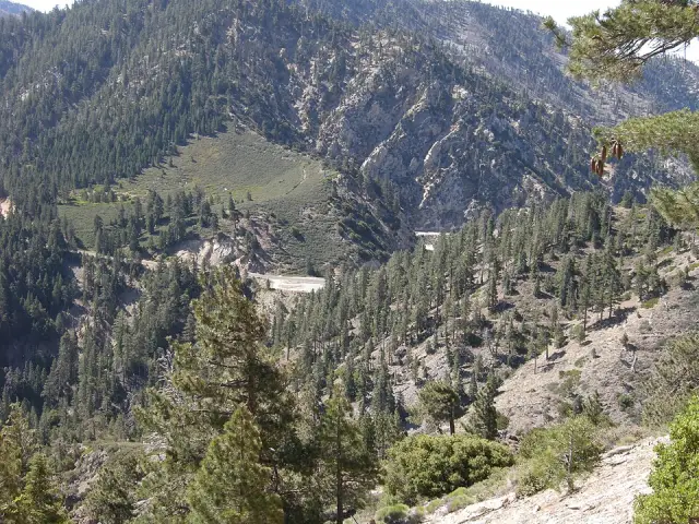 Islip Saddle
