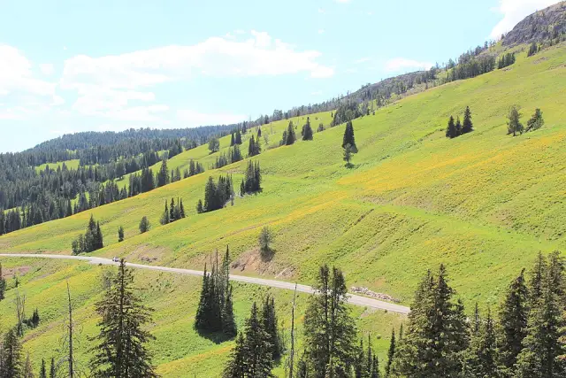 Dunraven Pass
