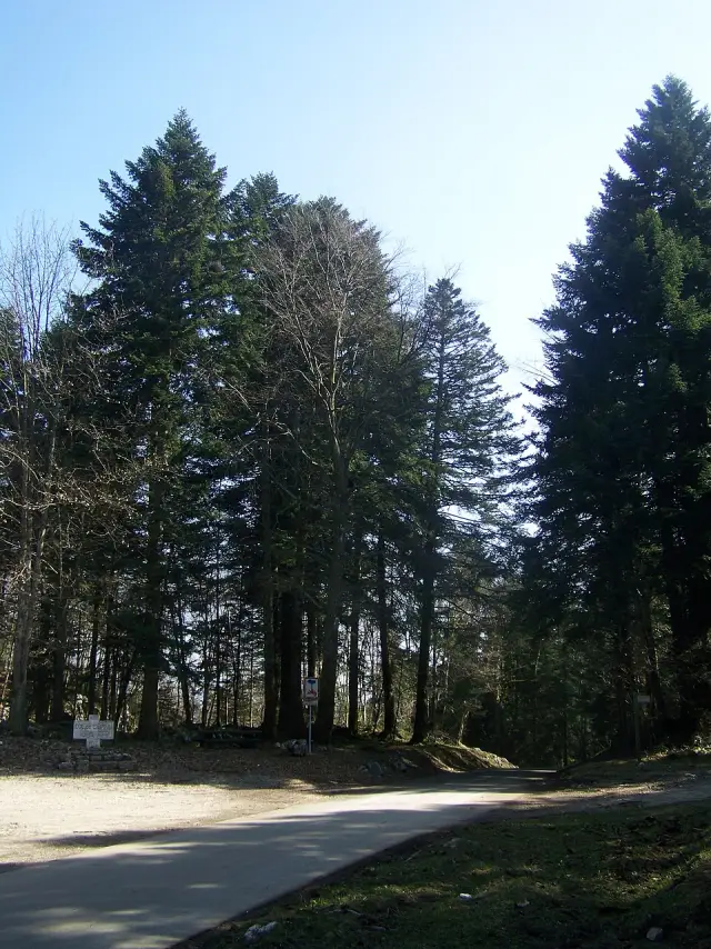 Col de l'Épine