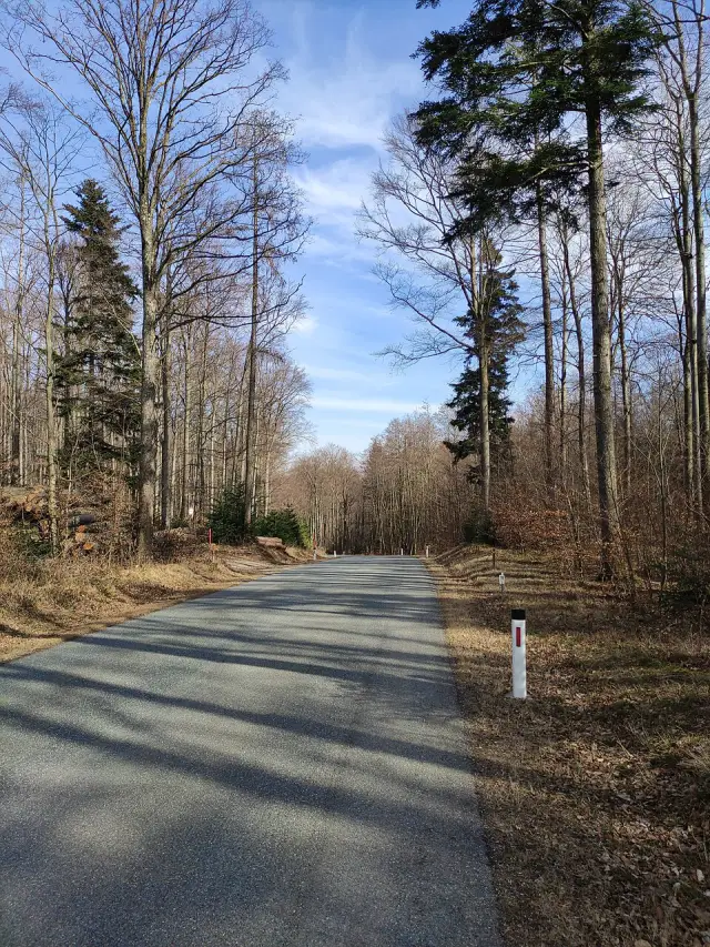 geschriebene Buche