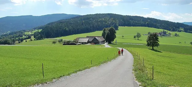 Birkfelder Gschaid