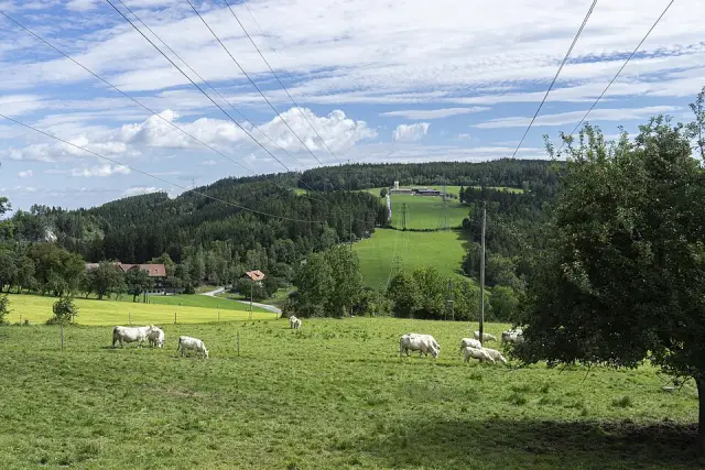 Ramssattel
