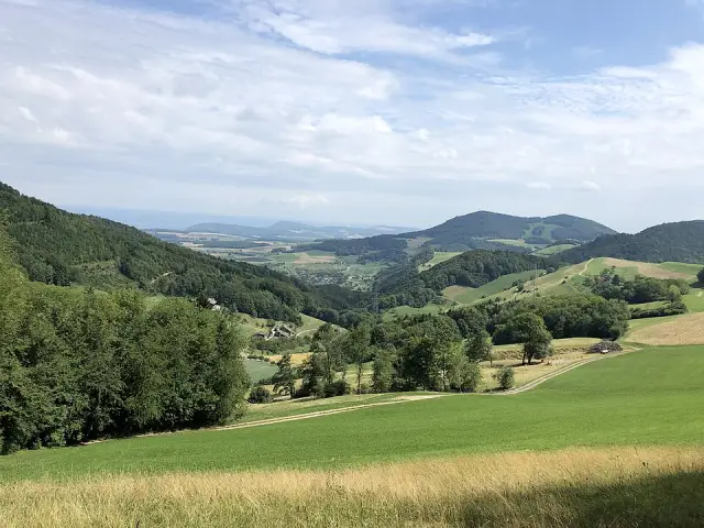 Salhöhe