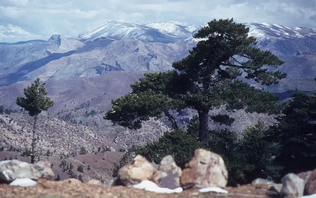 Belpınarı Geçidi
