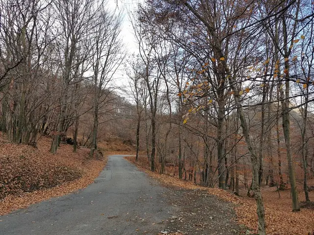 Passo di San Michele