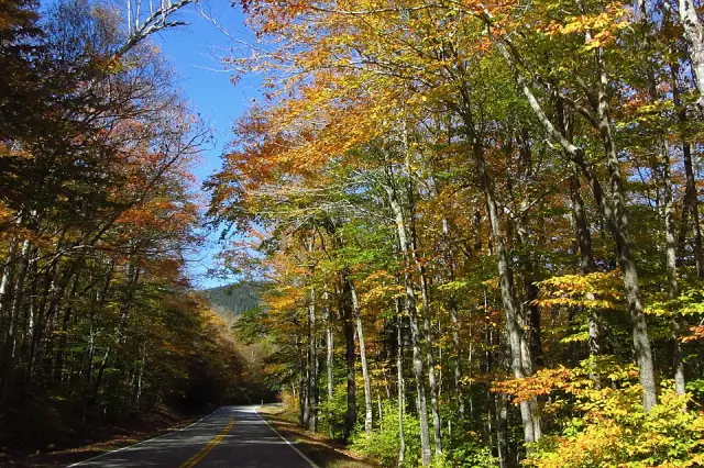 Bear Notch