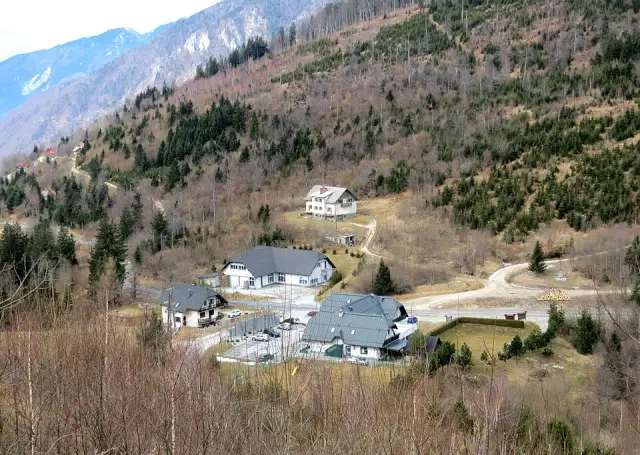 Črnivec