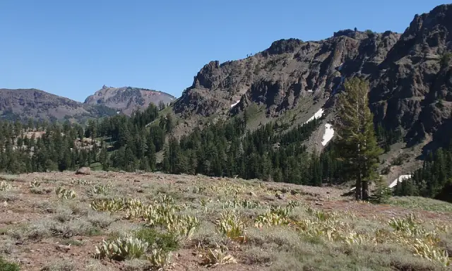 Ebbetts Pass